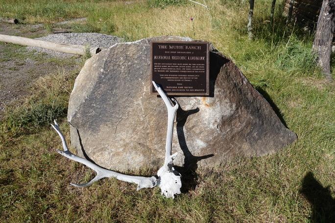 A set of sun-bleached stag horns rest against a boulder embedded in a dry grassy area. An engraved National Landmark plaque is affixed to the rock. 