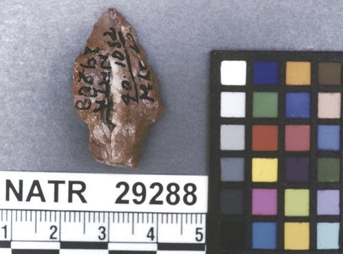 NATR   29288 -- Untyped projectile point