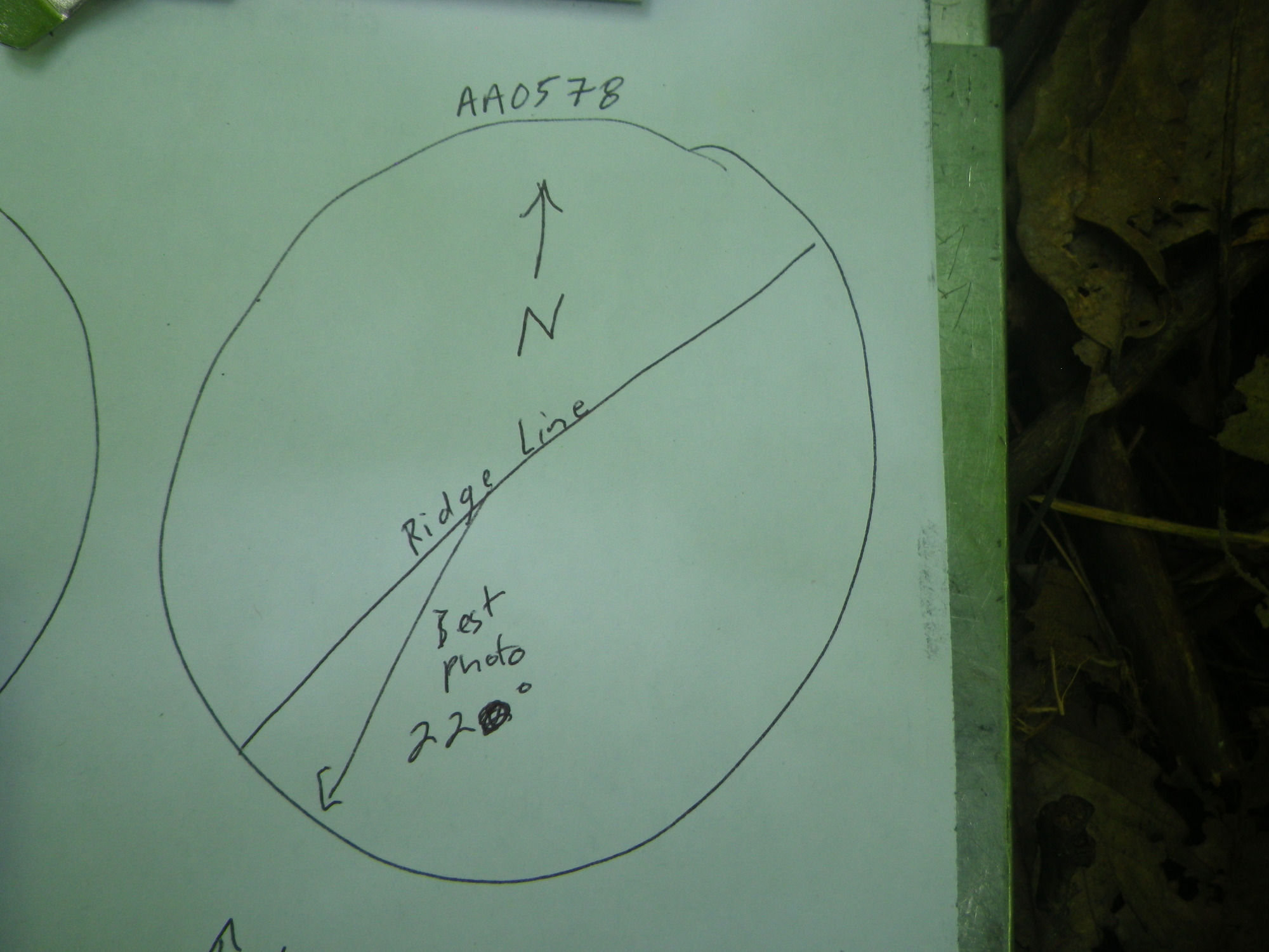 GRSM Accuracy Assessment. Plot Code: GRSM_AA_0578_7