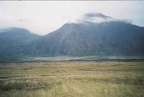 4 Gates of the Arctic National Park and Preserve Itkillik Bird Survey June 2006