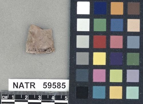 NATR   59585 -- Untyped projectile point