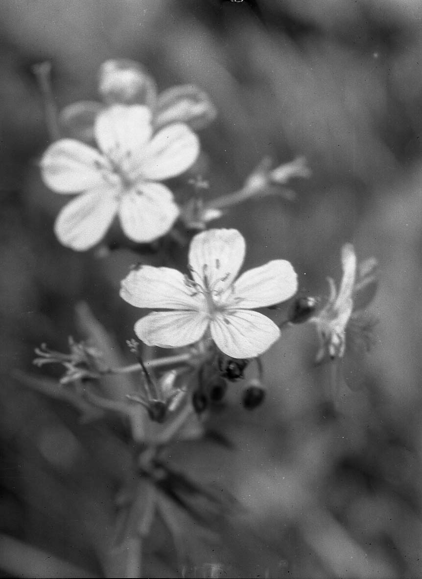 Grand Teton National Park