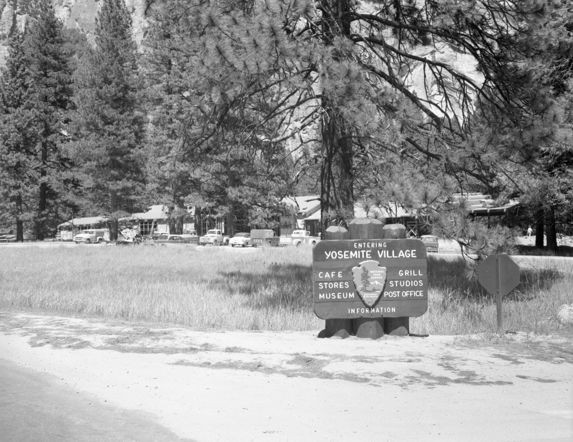 New Construction of the Yosemite Park and Curry Co. Store and Restaurant being erected in Yosemite Village under "MISSION 66". (2 Negatives). Yosemite Valley. For official negative file of Yosemite.