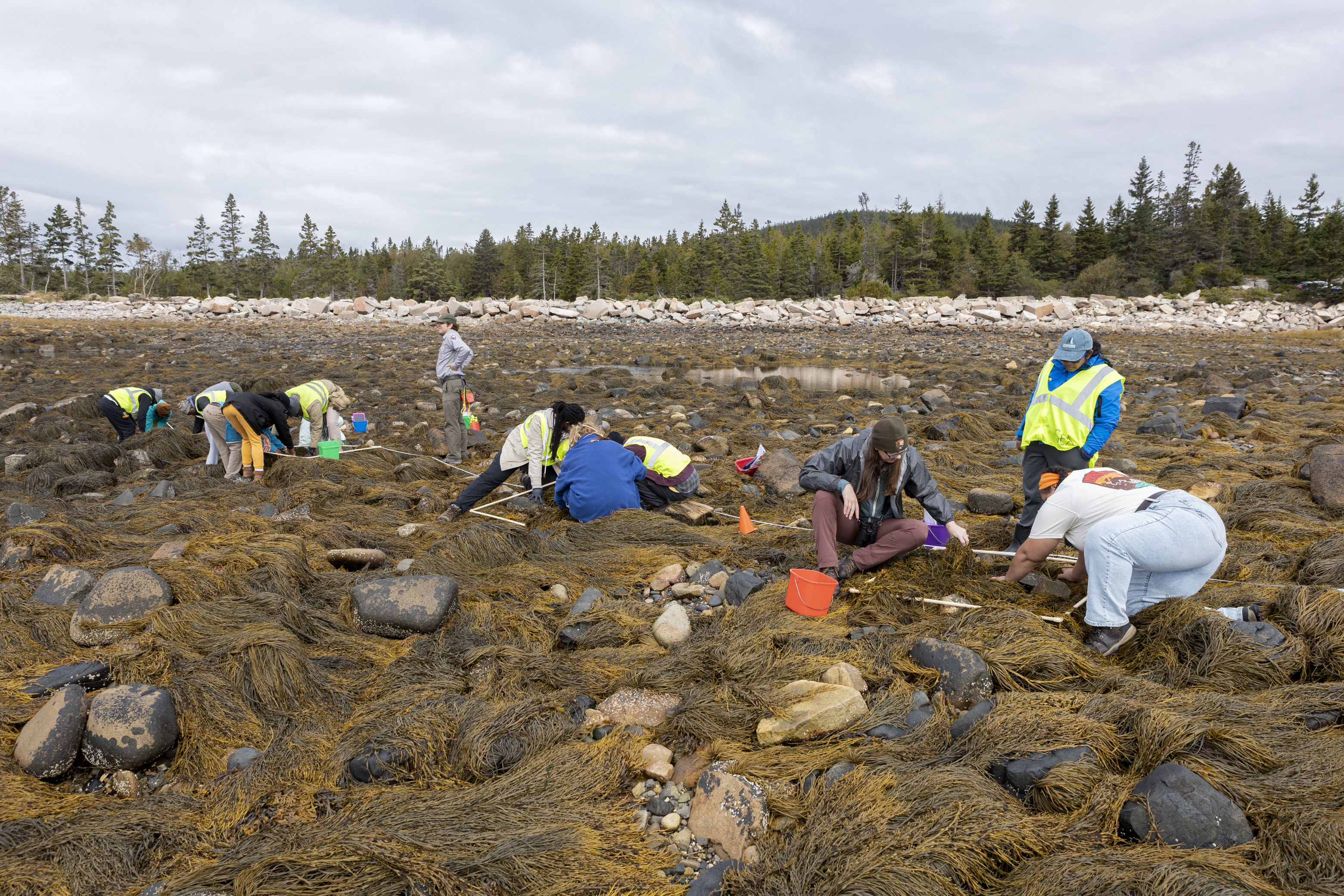 Tuskegee University students tour Acadia National Park as they learn about various career fields within the park.