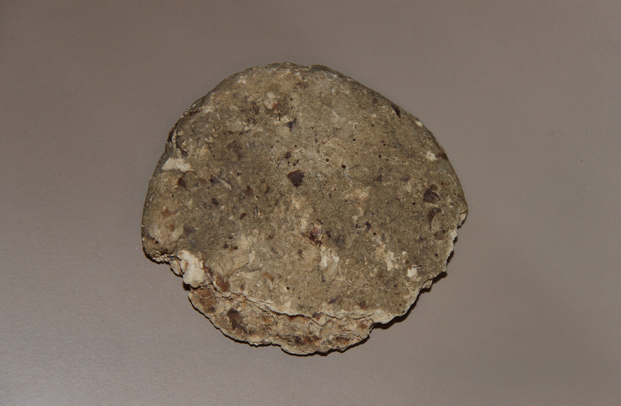 A round, flattened cake speckled with shades of brown