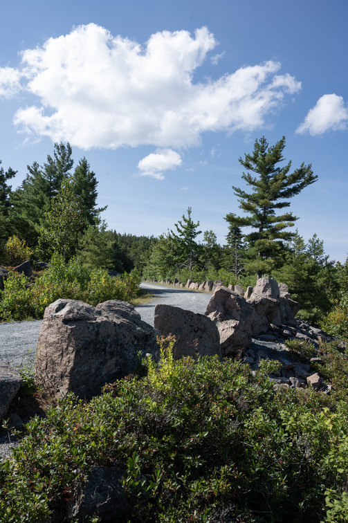 A gravel path lined with large rocks winds on a hill.