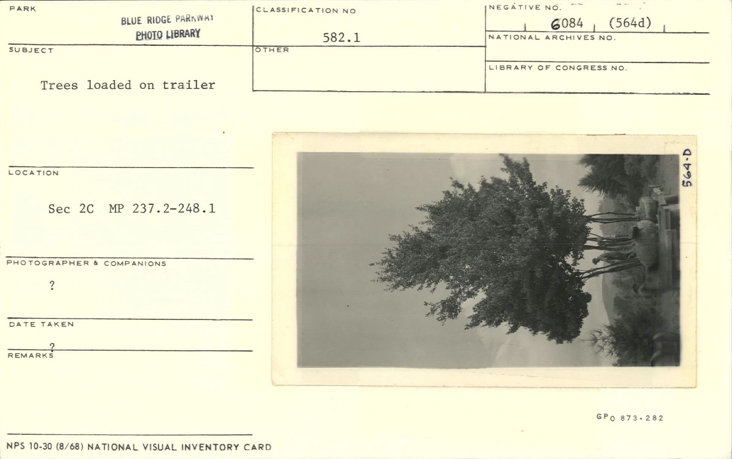 Trees loaded on trailer