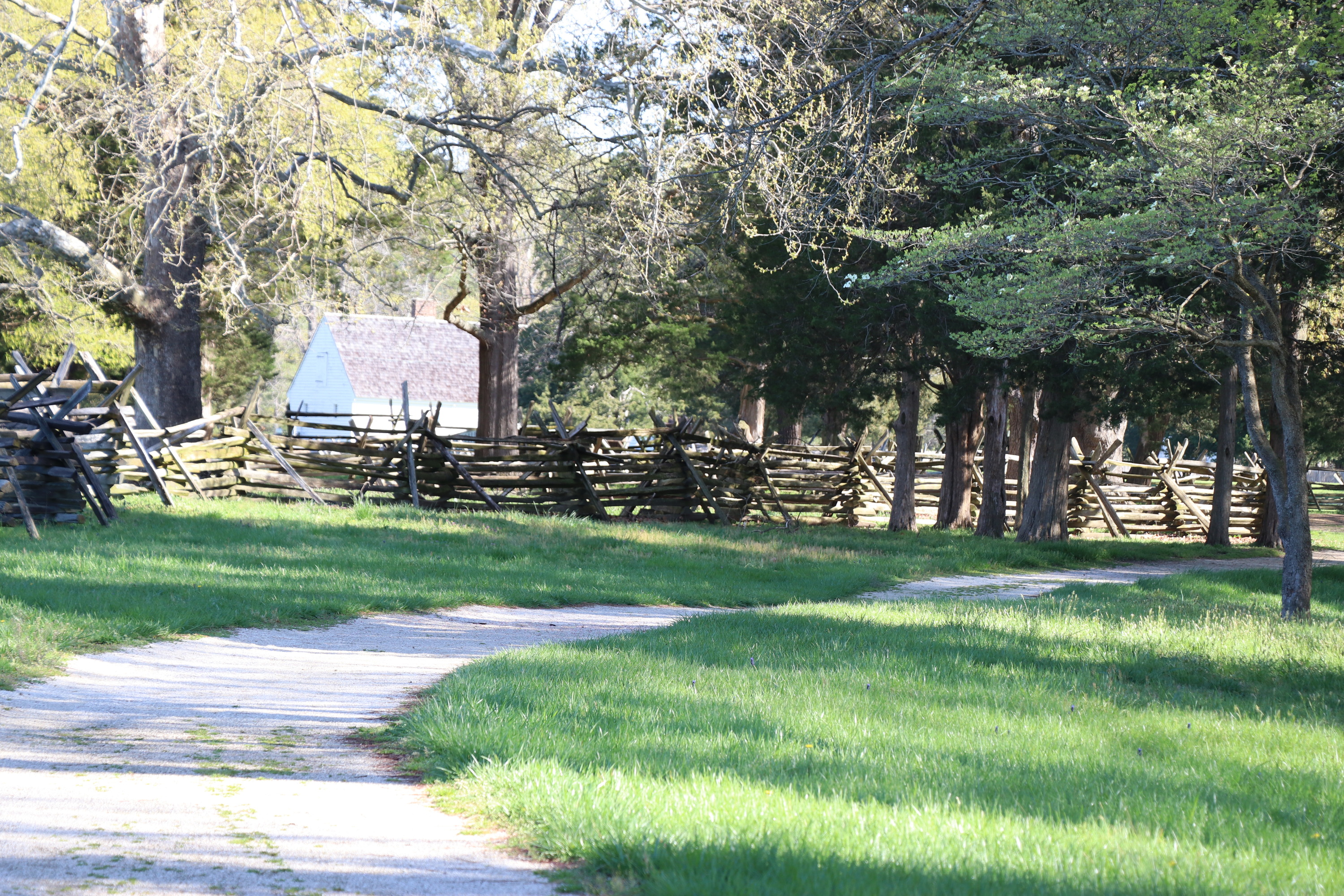Loose gravel trail with grass on either side