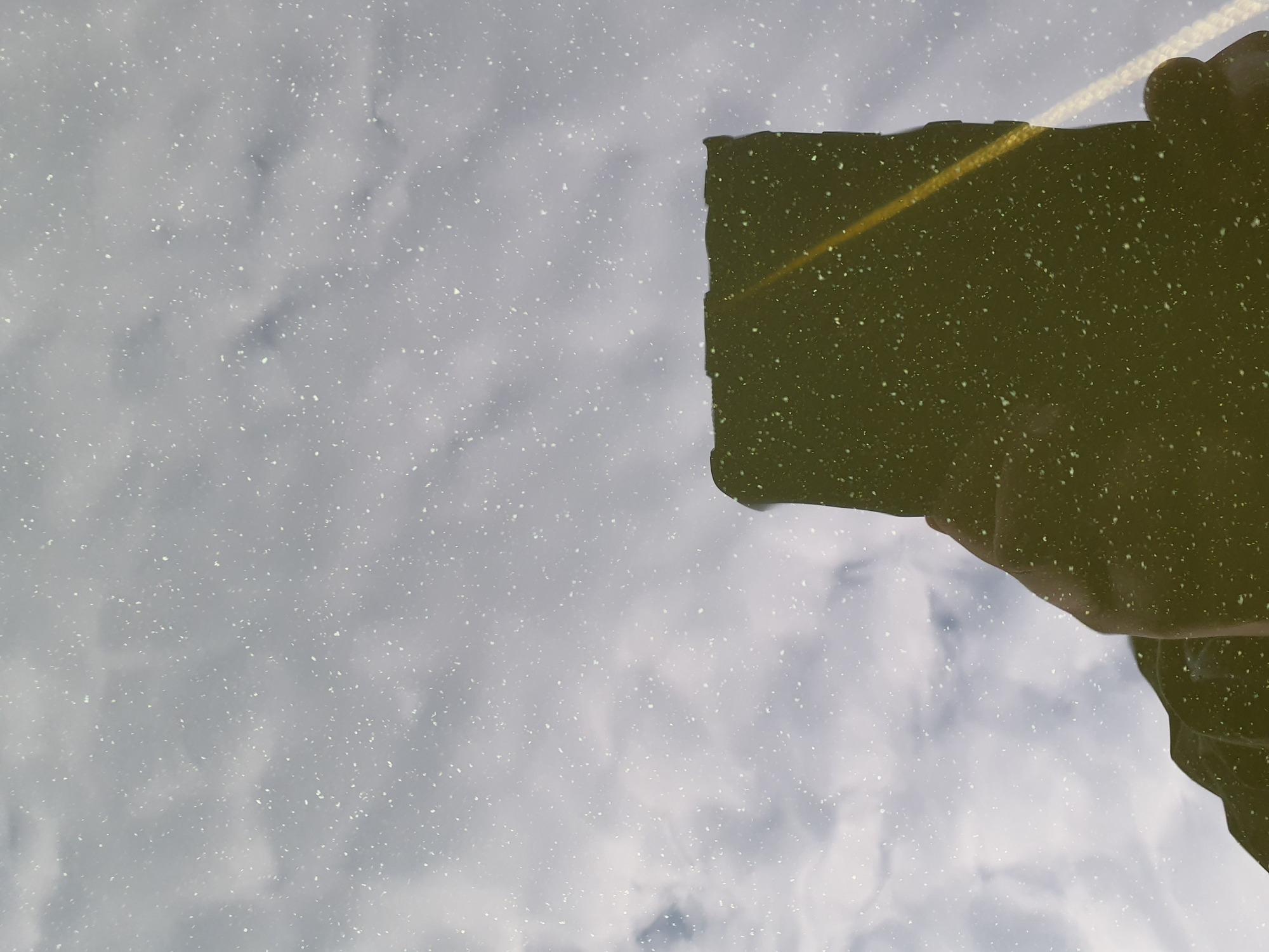 clouds reflected off water's surface, globs of cyanobacteria evident below