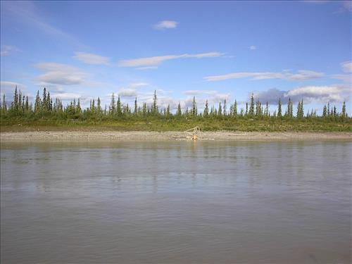 1 Yukon-Charley Rivers National Preserve Water Quality Ponds 2003