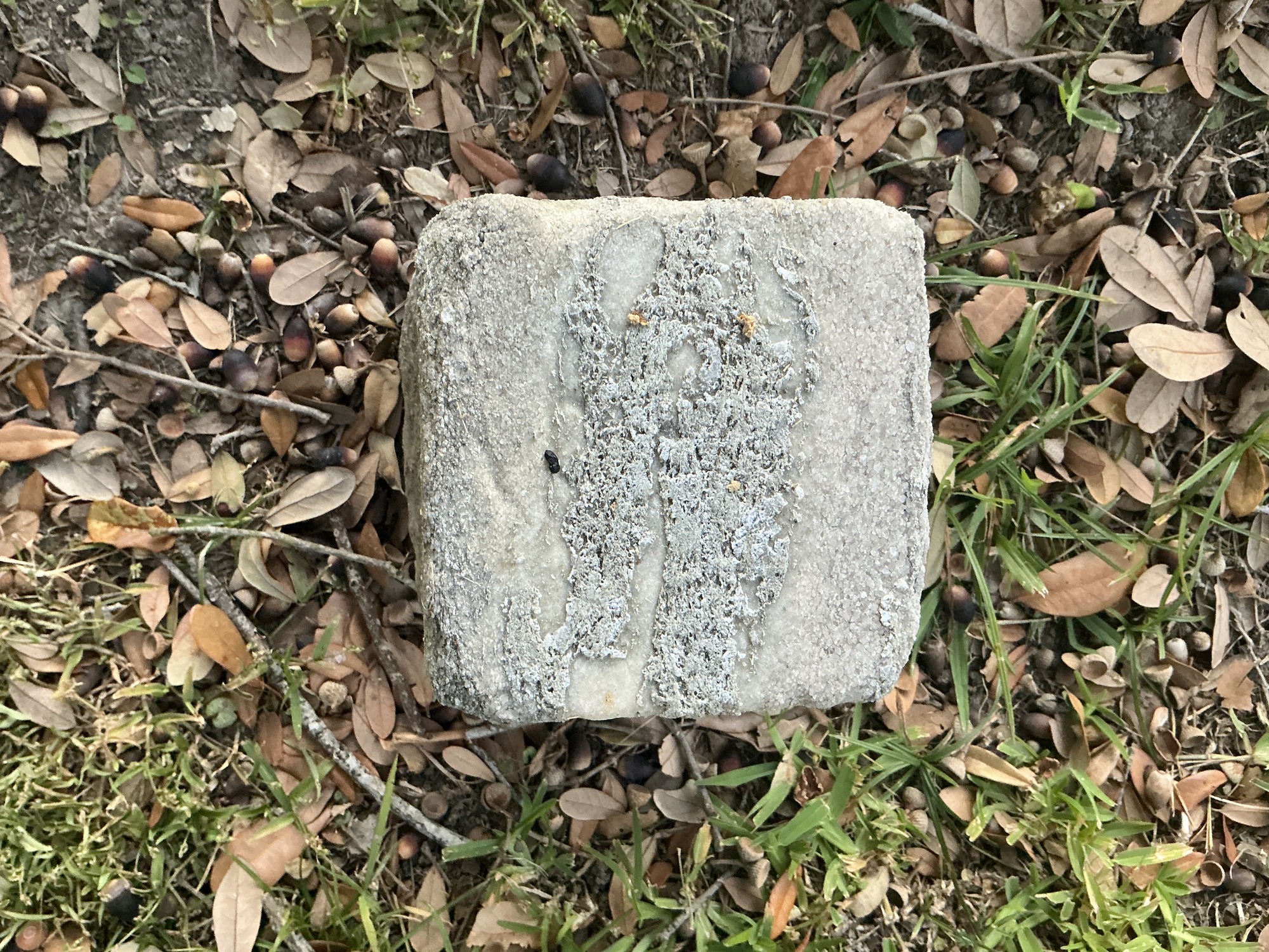 Top of flat marble marker