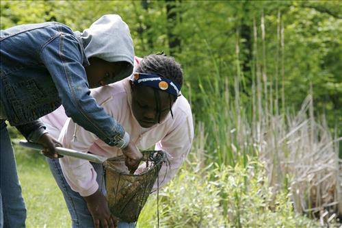 CVEEC Girl Scouts pond exploration 2