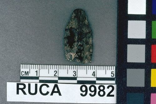 RUCA    9982 -- Point, Projectile