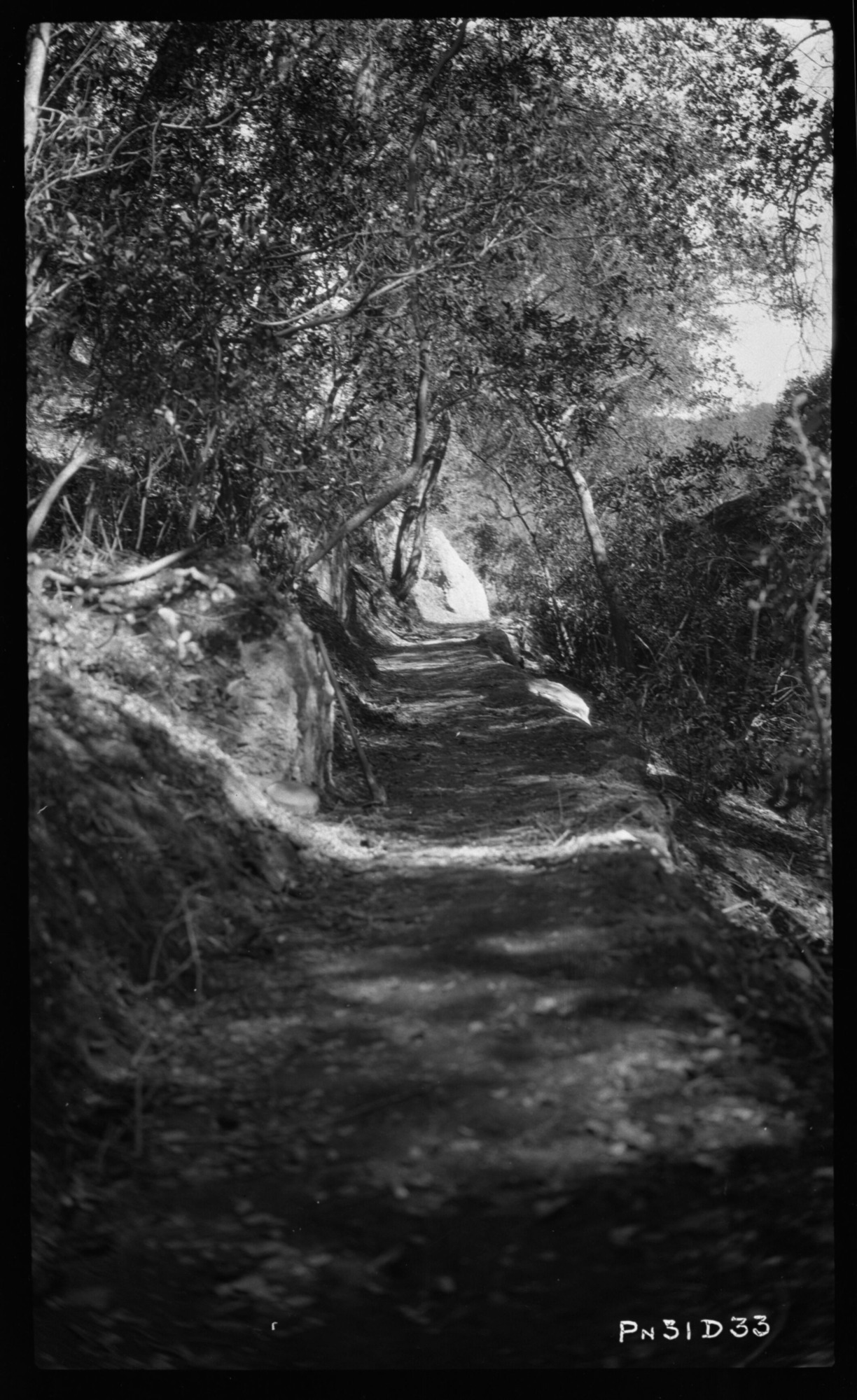 High Peaks Loop Trail