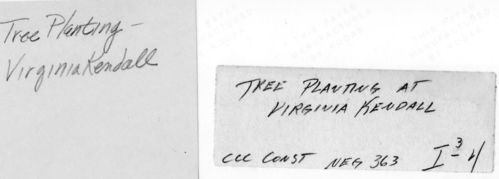 CCC in  Cuyahoga Valley National Park- Tree Planting