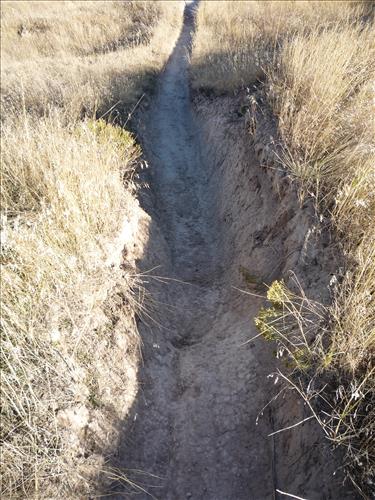 BADL-Trails-Castle-Medicine_Root_Trail