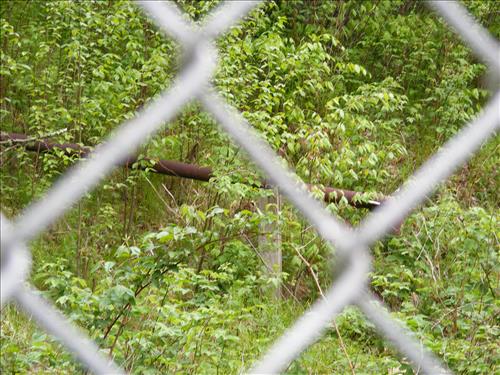 Balsam Mountain Water and Wastewater System
