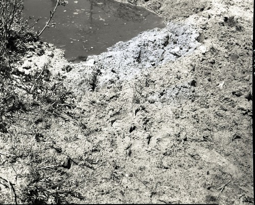 Vandalism of natural resources at Neck Spring, water matters involving Evan S. Lee, deer tracks.