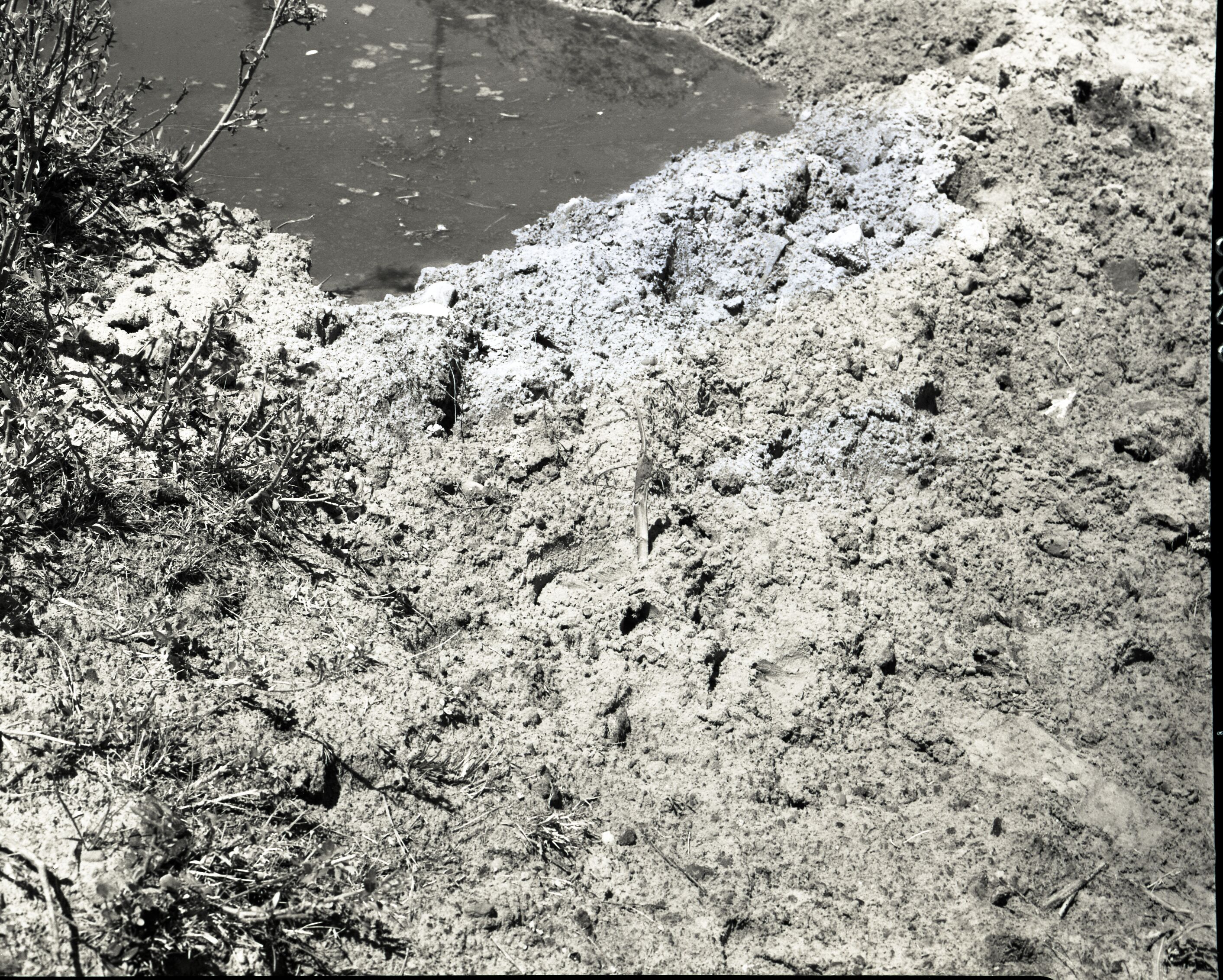 Vandalism of natural resources at Neck Spring, water matters involving Evan S. Lee, deer tracks.