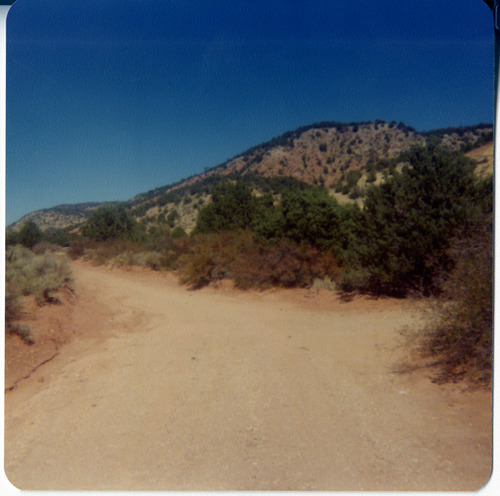 Dirt road and landscape in Kolob Canyon.