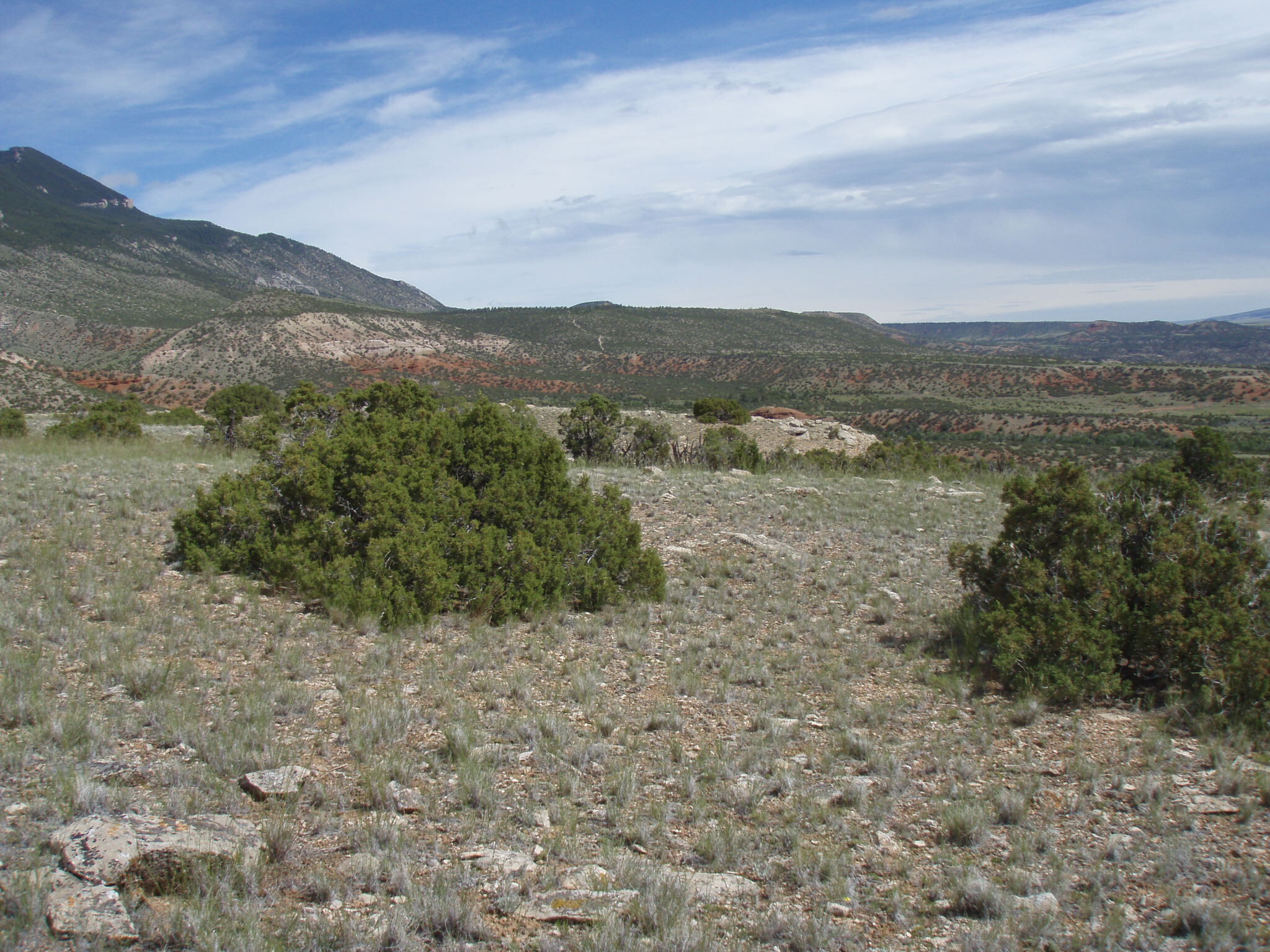 Image of the vegetation and landscape at photo point in Bighorn Canyon NRA 