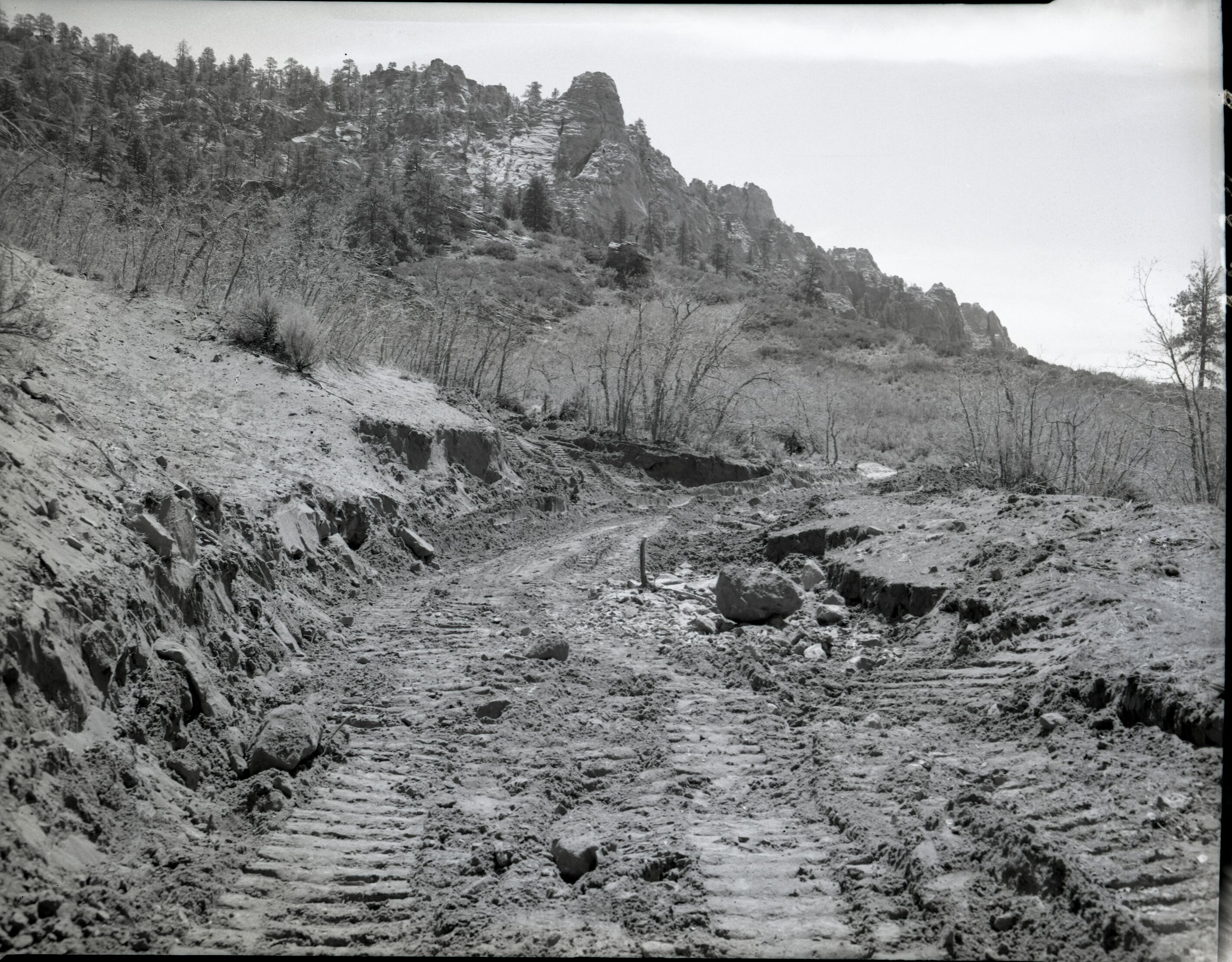 Sand filled dams and irrigation ditches on Evan Lee property.