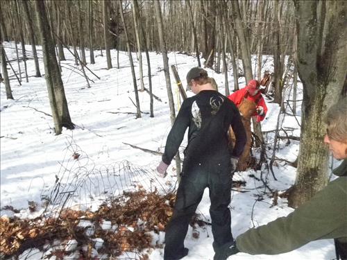 SLBE Benzie Central Earth Day 2011 Students Removing Fence from Woods
