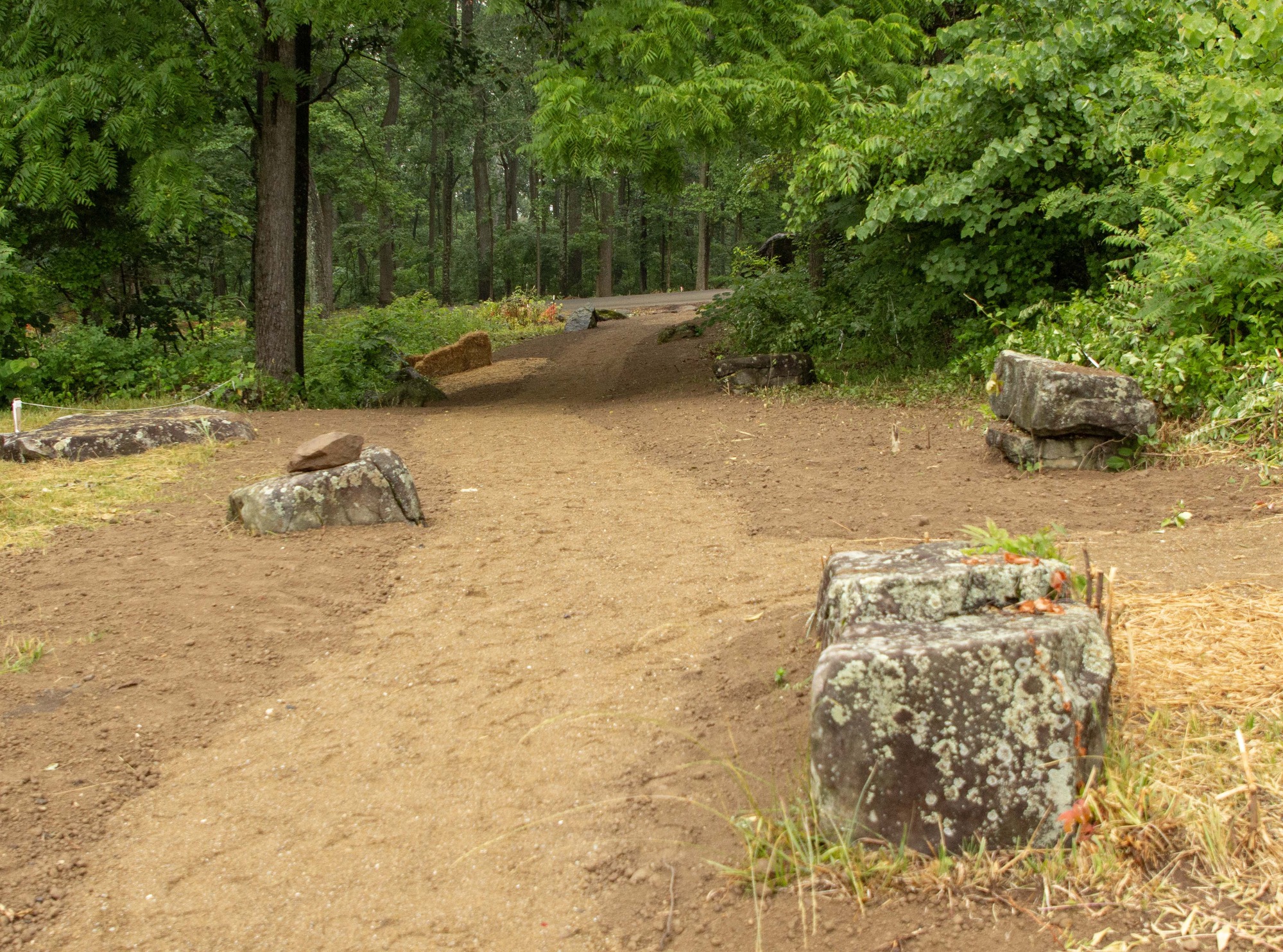 A brown path with topsoil and straw on either side winds through trees and rocks towards a road.
