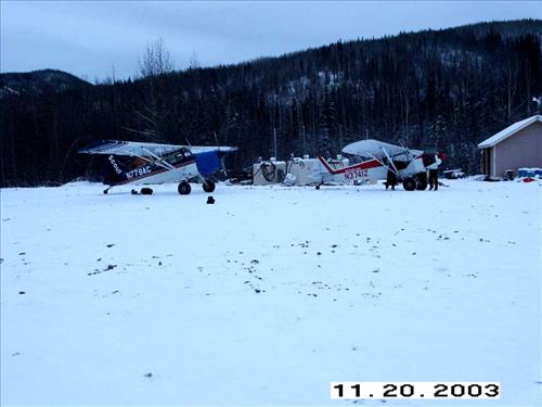 Moose Survey, Yukon-Charley, 2003 3