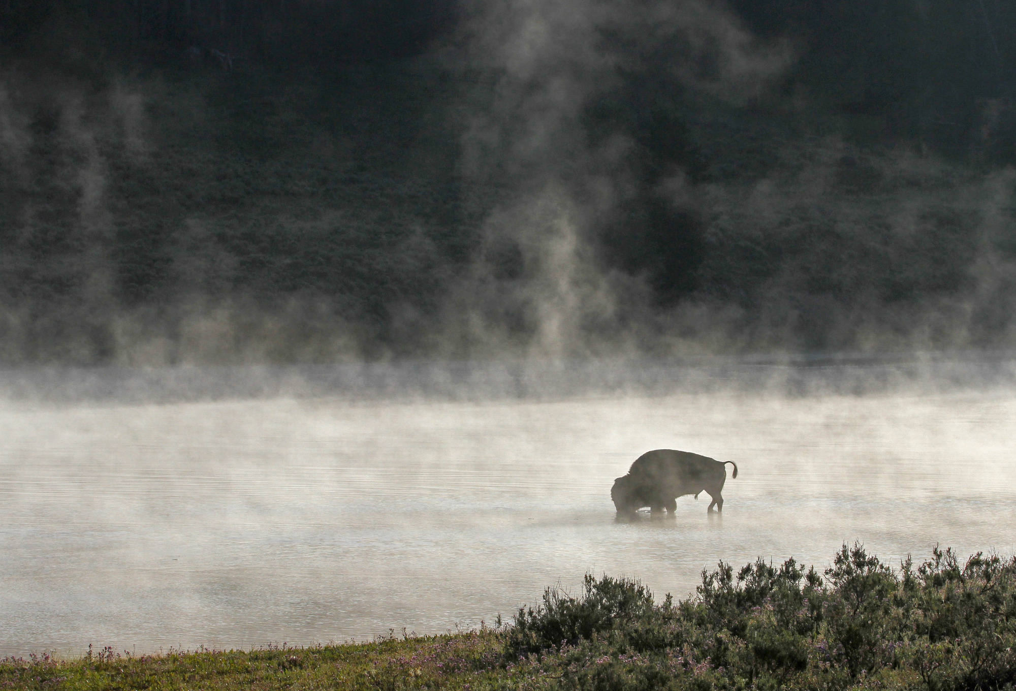 It's early in the morning and steam is rising from the river.