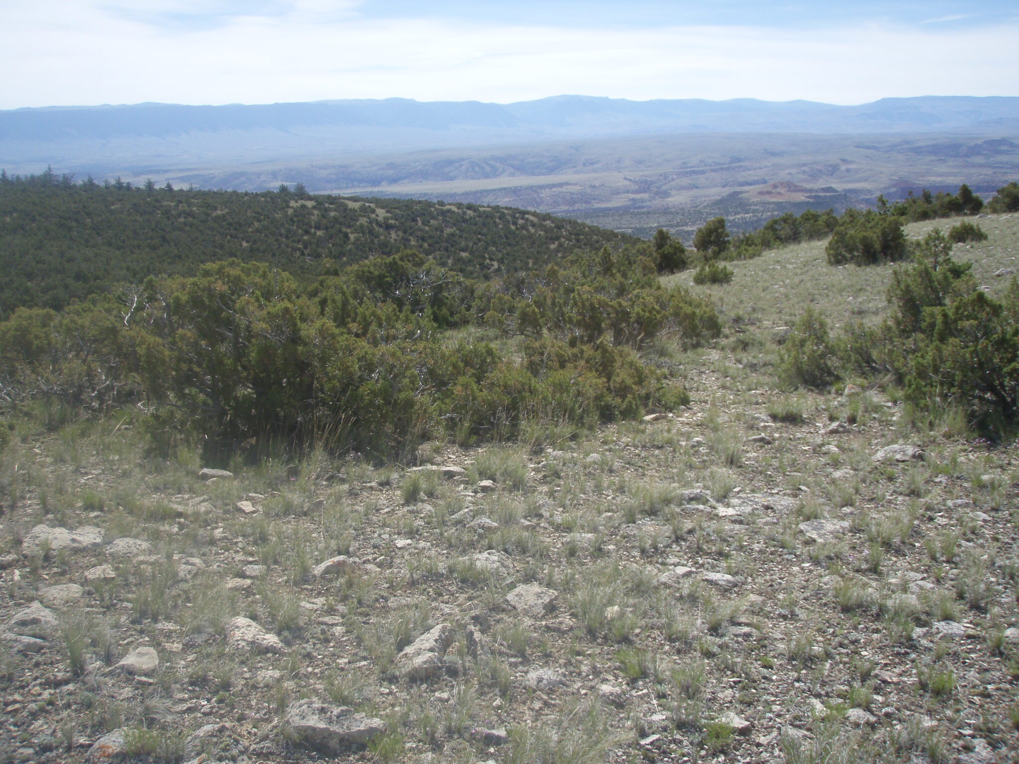 Image of the vegetation and landscape at photo point in Bighorn Canyon NRA.