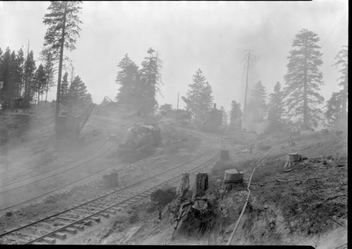 Yosemite Lumber Co. Camp #2, a smoking ruins