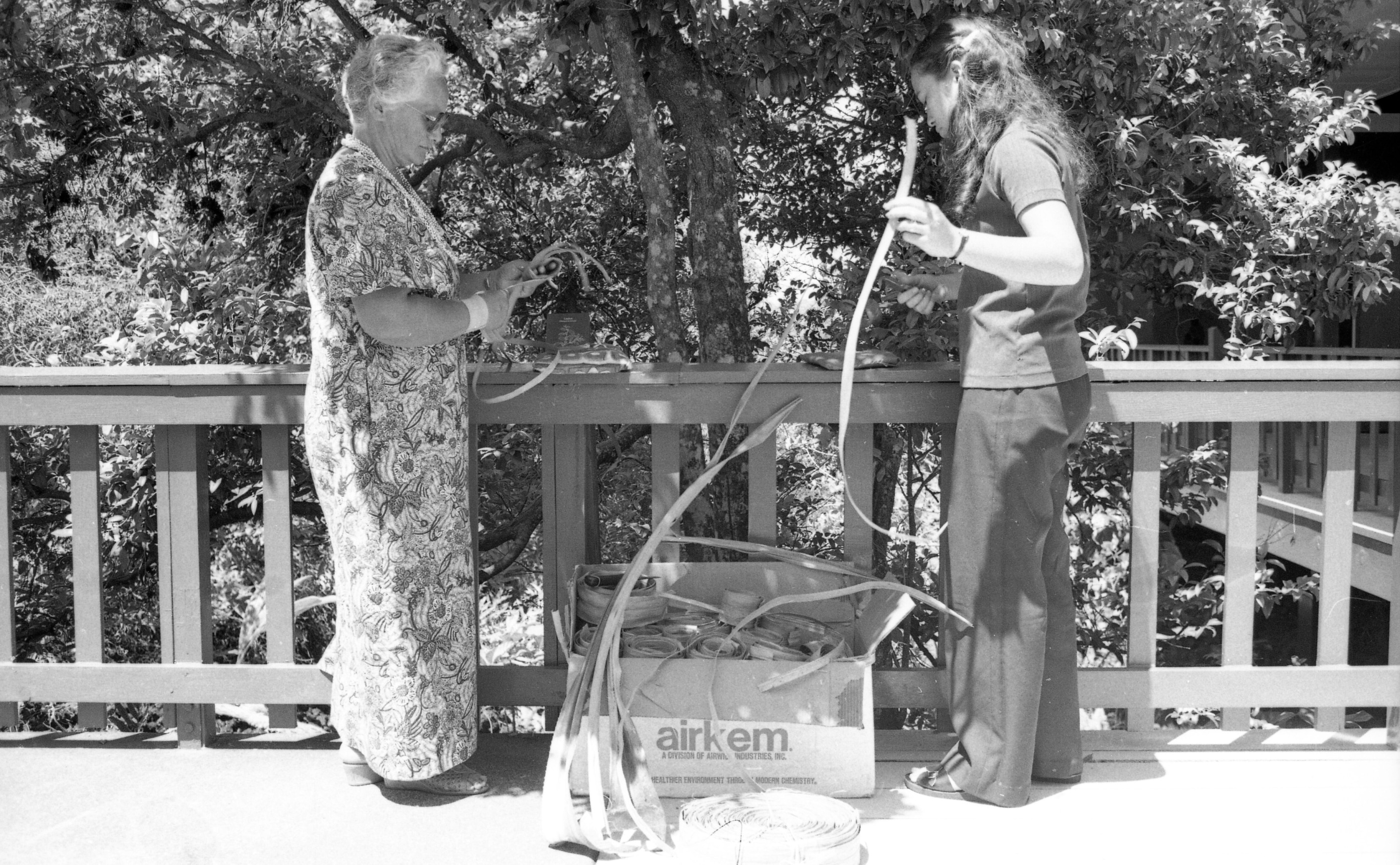 A black and white image of two women standing on a wooden deck flattening long rolled strips of plant leaves. At the bottom center of the image there is a cardboard box overflowing with rolled up long pieces of plant materials. Some of the material has been flattened and is laying across the rolled bundles. On the left side of the box there is a woman in glasses wearing a short sleeve aloha dress with a necklace and armband around her right wrist. She is looking down at the plant leaves/fibers in her hands. She has some of the material folded behind her left index finger. On the right side of the box is another woman. She is wearing a polo shirt and pants. She is holding a long piece of plant material in her left hand. Her body is turned facing the other woman. She is looking down towards a tool in her right hand. The railing behind the women extends from the left side of the image to the right side. In the background there is a tree behind the railing.