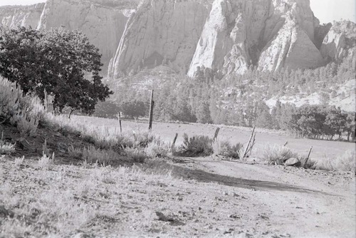 BW photo of the 1937 grazing study 35MM. Photo of fence.