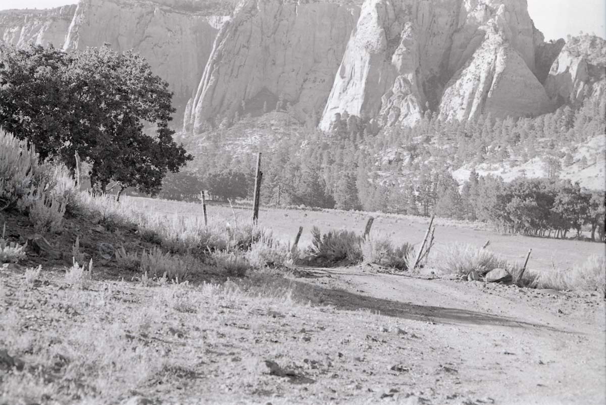 BW photo of the 1937 grazing study 35MM. Photo of fence.