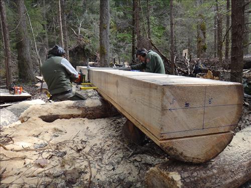 Tread work on the Chilkoot Trail during the 2012 field season.
