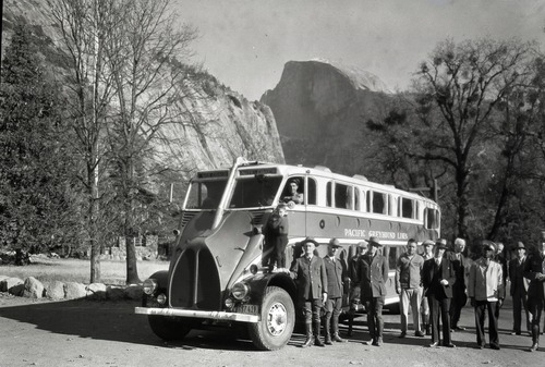 Greyhound night coach