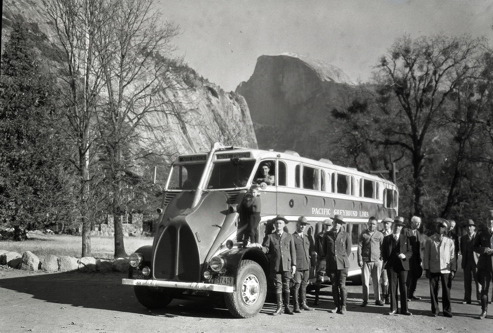 Greyhound night coach