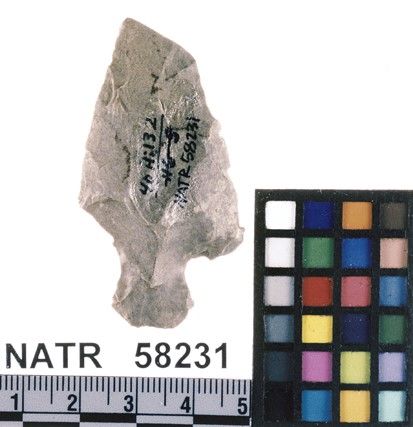 NATR   58231 -- Untyped projectile point