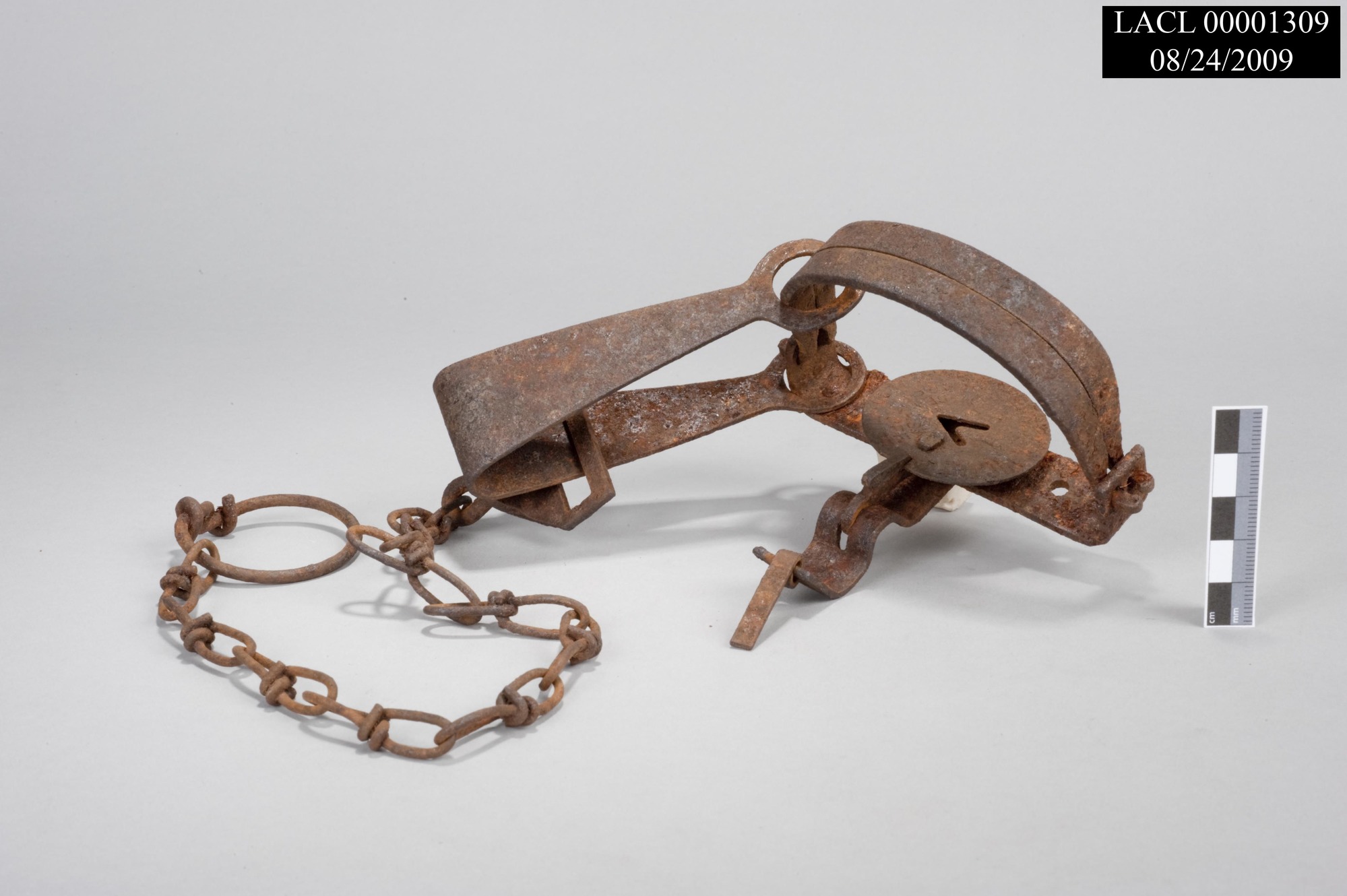 Image of rusted animal trap with chain.