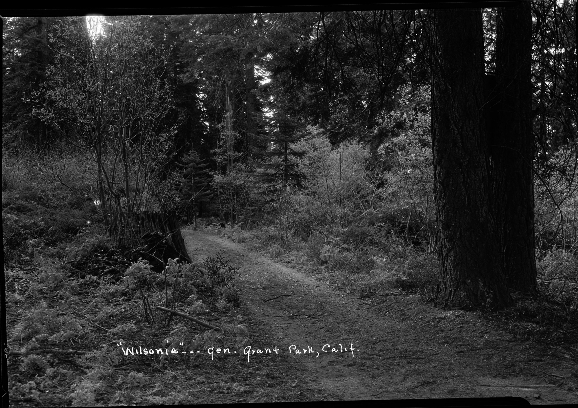 SEKI Roberts Collection Series: 2 Negatives; 14 Sites and Structures