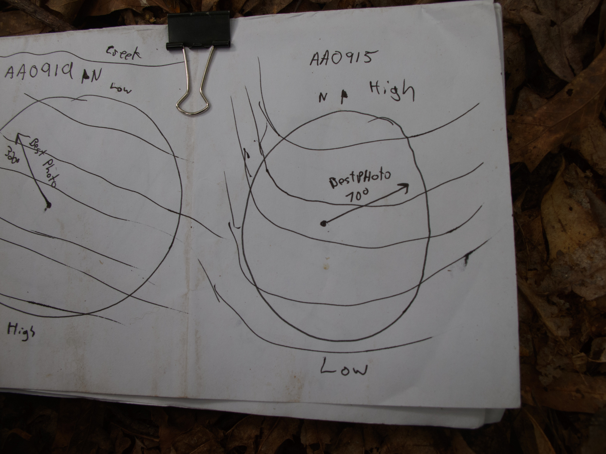 GRSM Accuracy Assessment. Plot Code: GRSM_AA_0915_7
