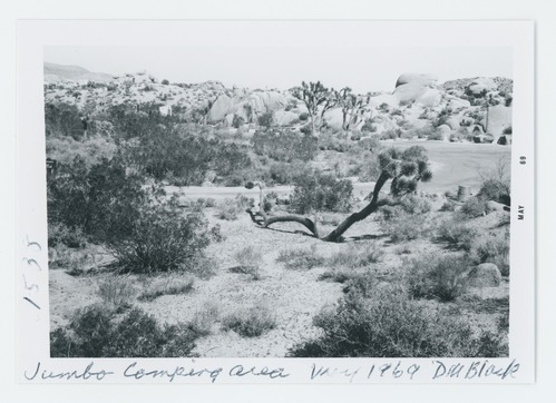 Black and white image of Jumbo Rocks Campground