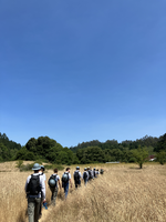 11 individuals hike through a golden meadow with a clear blue sky above.