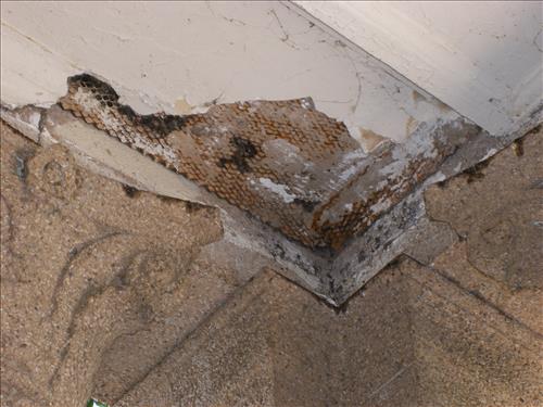 Failure of historic fieldhouse portico ceiling, East Potomac Park, September 2007. Needs repair.