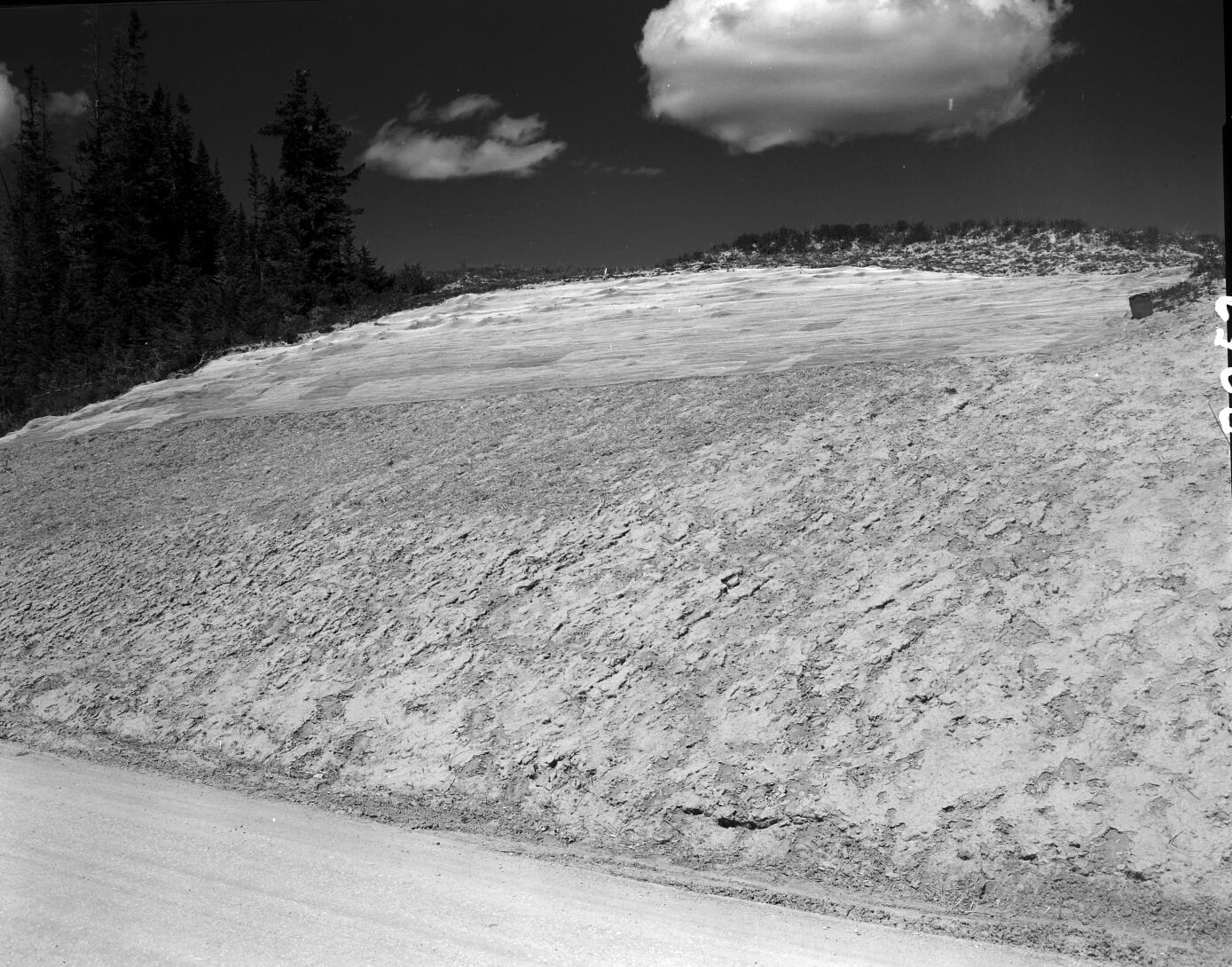 The landscaping on rim road during the 1960 construction project. Grass seeding and mulch net covering exposed earth along road cut.