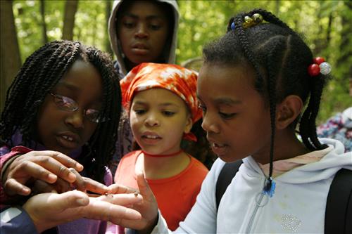 CVEEC Girl Scouts forest exploration
