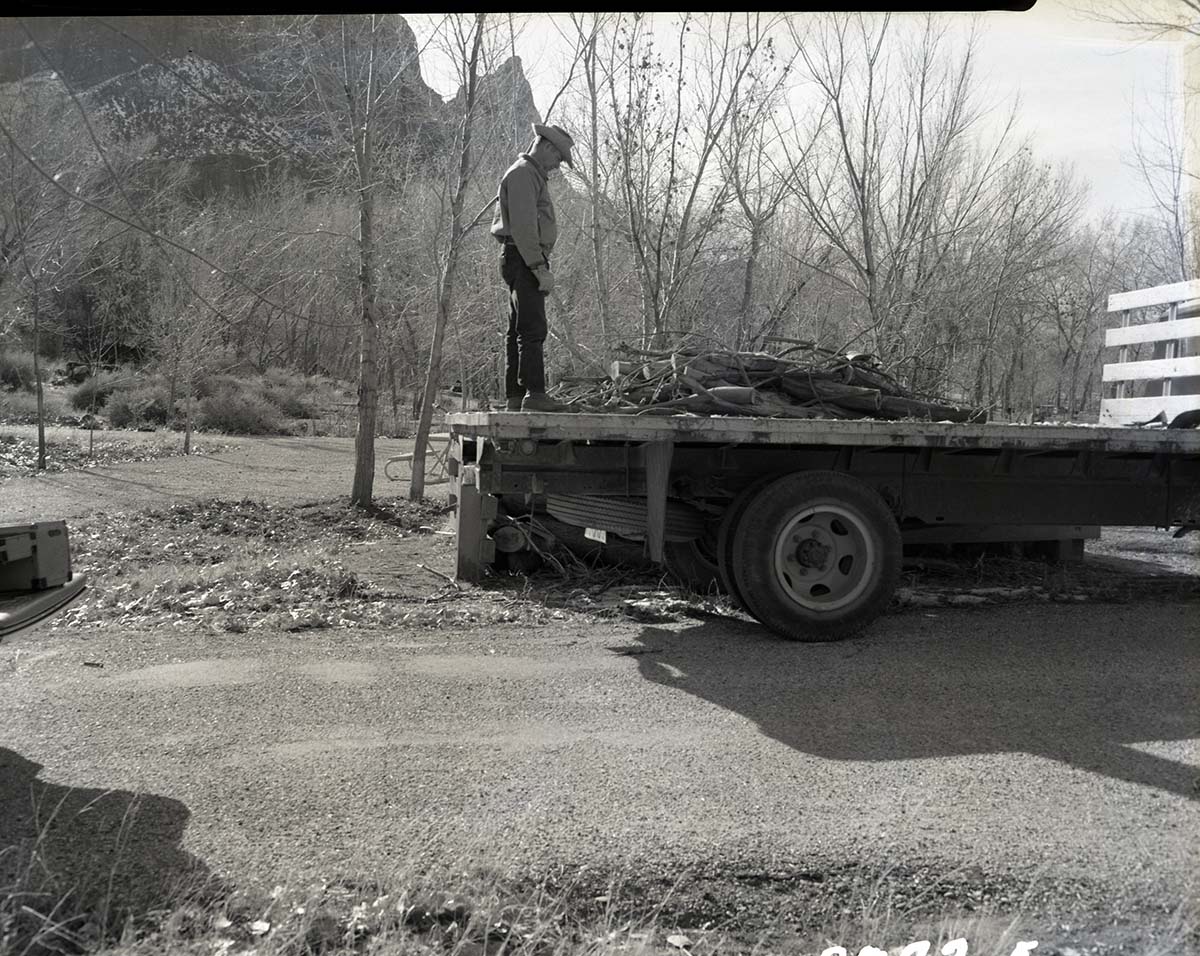 Site of visitor accident, location of wood rack and truck.