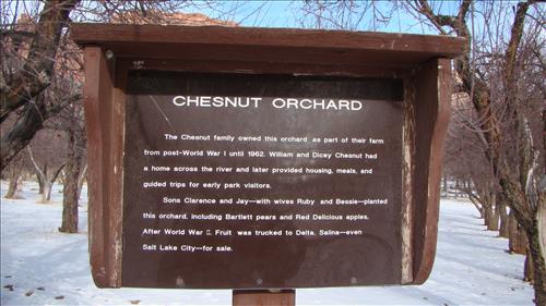 Capitol Reef Wayside Exhibit Inventory January 2009 Group 3