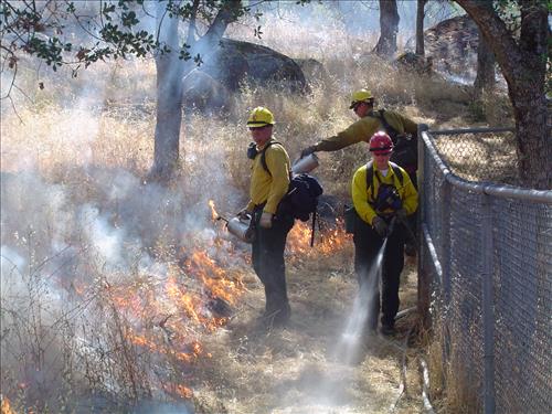Prescribed burn using drip torch ignition at Ash Mountain Headquarters, Sequoia and Kings Canyon National Parks, May 2004
